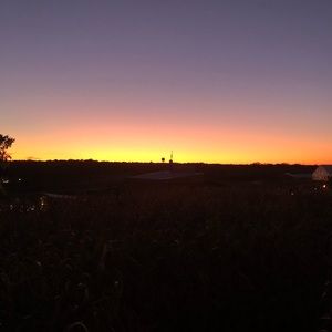 Meet your Posher, Damion